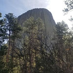 Popeyes Louisiana Kitchen